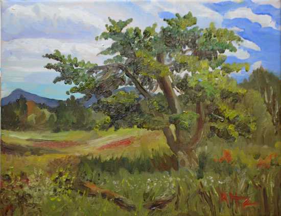 October at Big Meadows II by Kelli Hertzler. All rights reserved. 11" x 14" oil. Available.